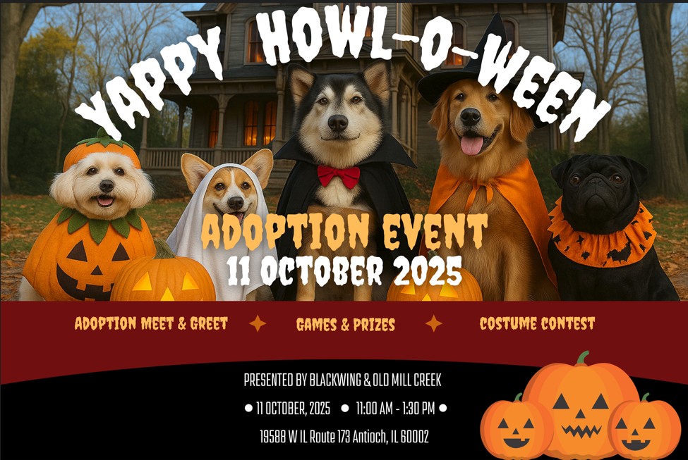 smaller flyer for website
